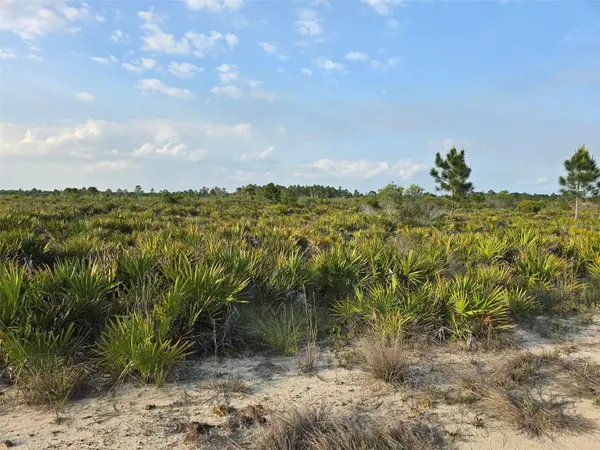 49173 BERMONT RD, Punta Gorda, FL 33982