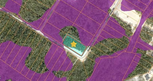 20122 MEDICINE STONE #10 DR, Webster, FL 33597