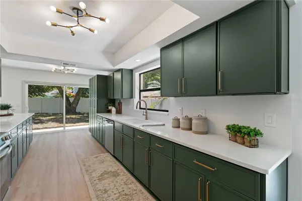 3906 BLOOMING HILL LN, Palm Harbor, FL 34684