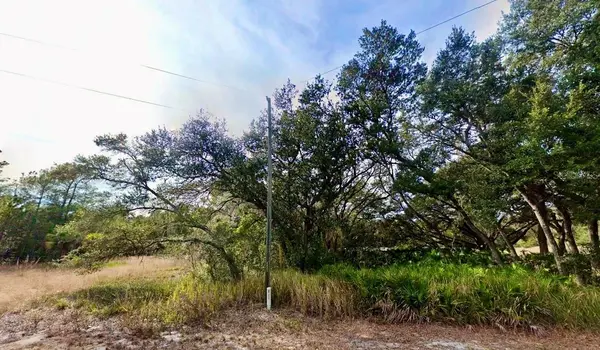 175 FISHER LN CT, Ocklawaha, FL 32179