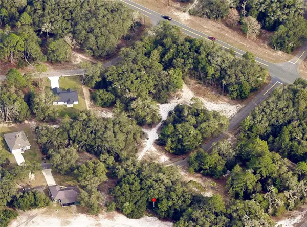 175 FISHER LN CT, Ocklawaha, FL 32179