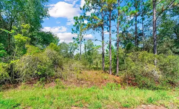 175 FISHER LN CT, Ocklawaha, FL 32179