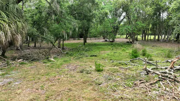 OLD CONE GROVE ROAD, Riverview, FL 33578