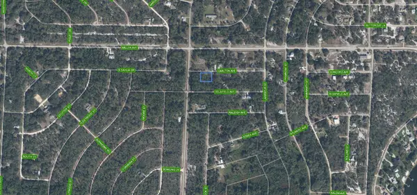 3154 CARLTON AVE, Lake Placid, FL 33852