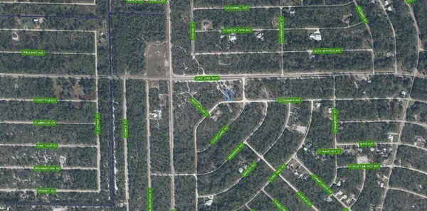 3324 GOSSAMER AVE, Lake Placid, FL 33852
