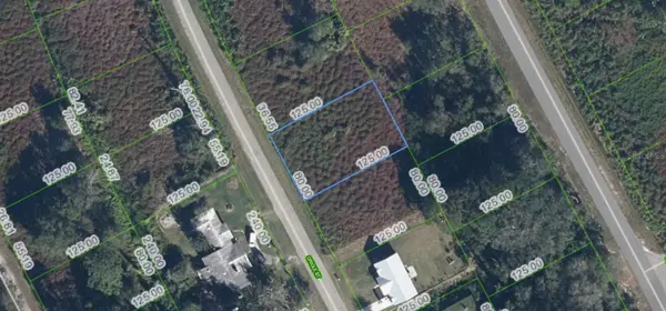 1025 ORIOLE ST, Lake Placid, FL 33852