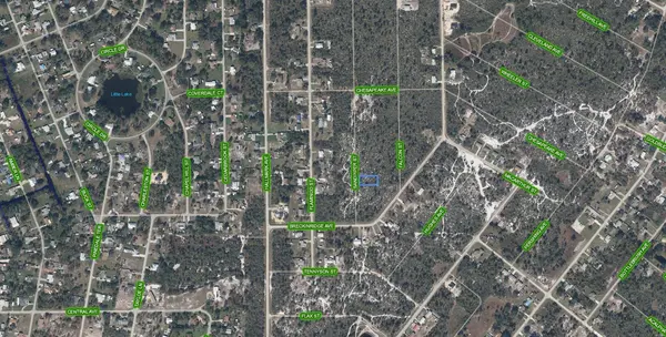 239 SANDPIPER ST, Lake Placid, FL 33852