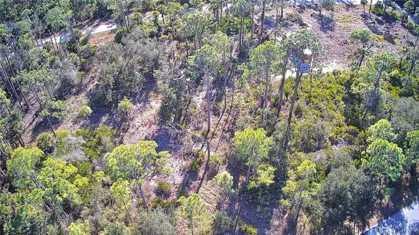 13093 HARBISON AVE, Port Charlotte, FL 33953