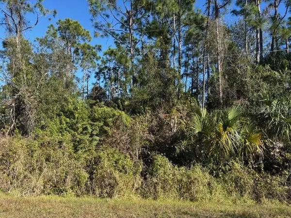 13636 SULKY DR, Punta Gorda, FL 33955