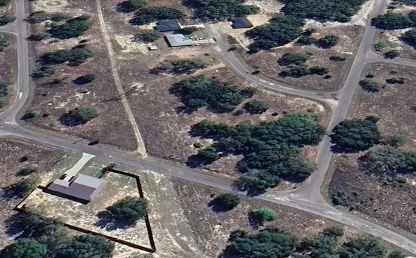 Lot 1 GUAVA TERRACE, Ocklawaha, FL 32179