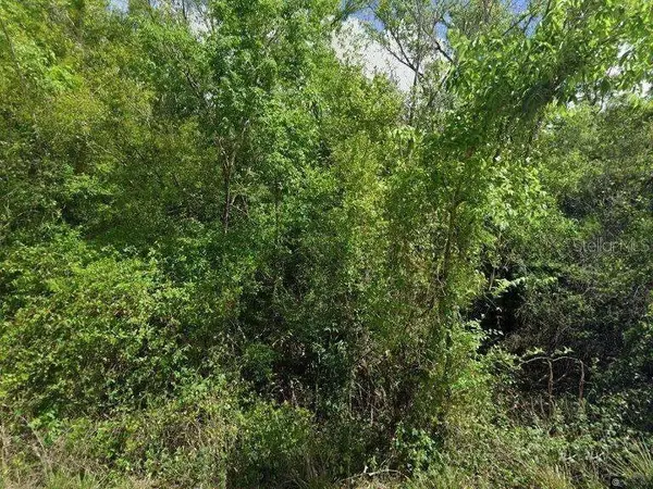 8115 SW HORSE CREEK RD, Arcadia, FL 34266