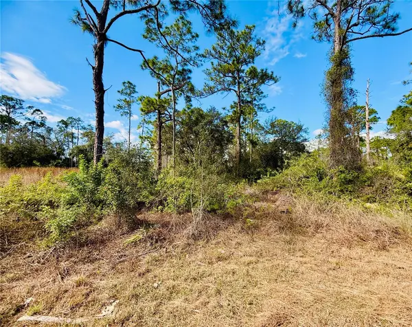 2007 TRUMAN AVE, Alva, FL 33920