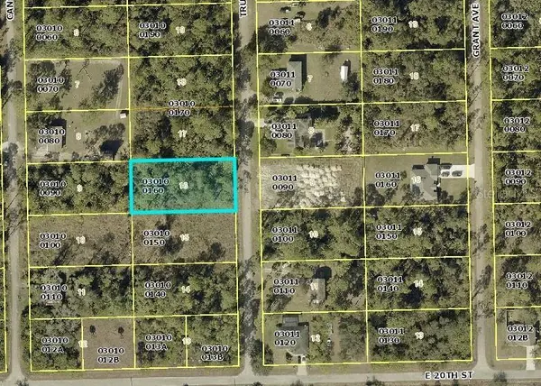 2007 TRUMAN AVE, Alva, FL 33920