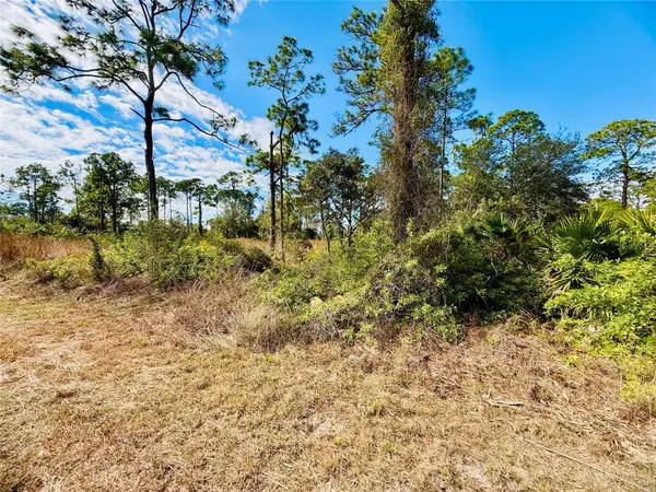 2007 TRUMAN AVE, Alva, FL 33920