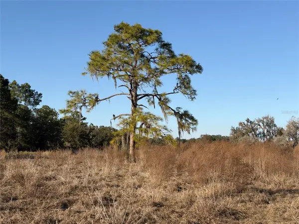 100AC NE HWY 17, Arcadia, FL 34266