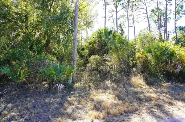 SEDBERRY AVE, North Port, FL 34288