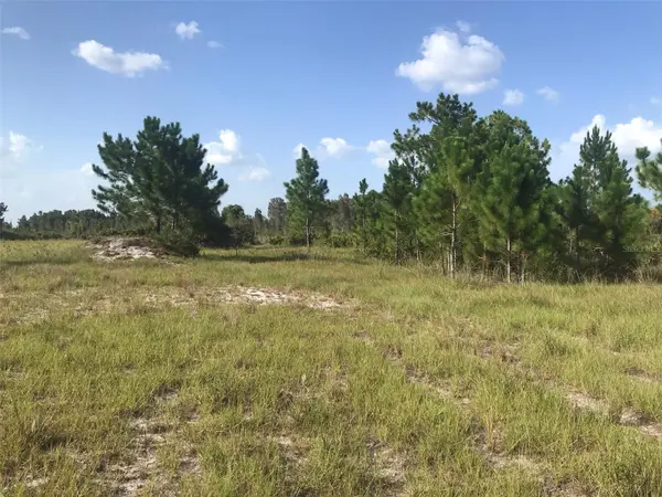 48033 BERMONT RD, Punta Gorda, FL 33982
