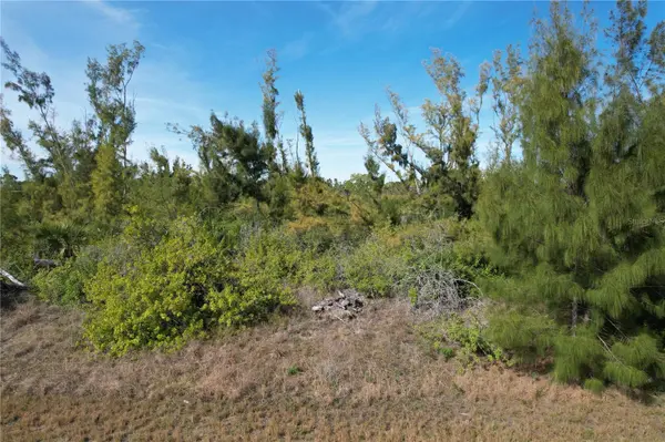 10565 ABELLO RD, Port Charlotte, FL 33981