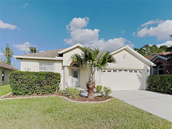 4020 LANGDRUM DR, Wesley Chapel, FL 33543