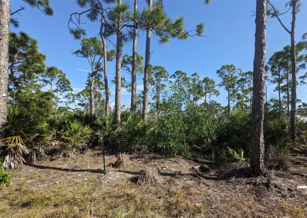 4159 SUNSHINE BLVD, St James City, FL 33956