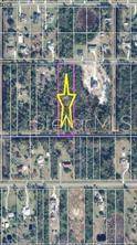 RALSTON ST, Orlando, FL 32833