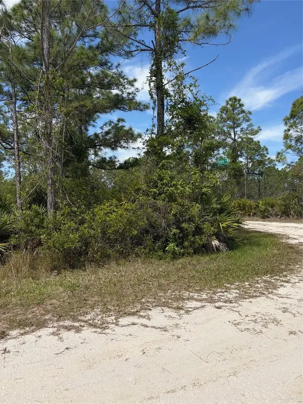 28131 RAMIRO DR, Punta Gorda, FL 33955