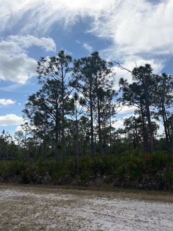 28078 RAMIRO DR, Punta Gorda, FL 33955