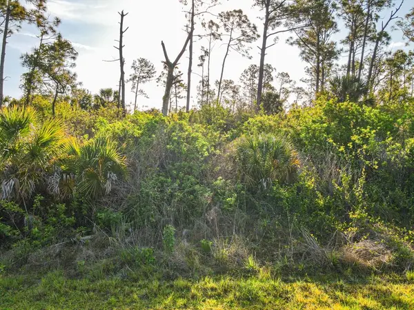 BLUELEAF DR, North Port, FL 34288