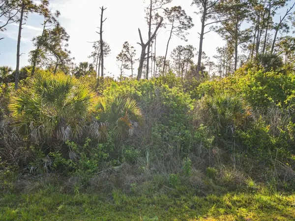 BLUELEAF DR, North Port, FL 34288