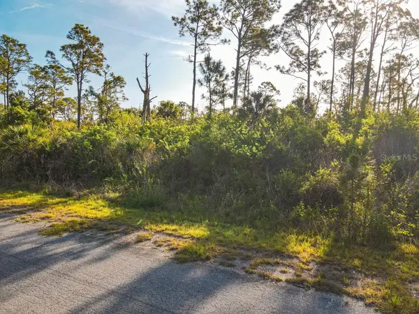 BLUELEAF DR, North Port, FL 34288