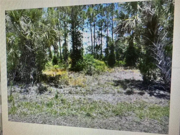 SAGO PALM RD, North Port, FL 34291