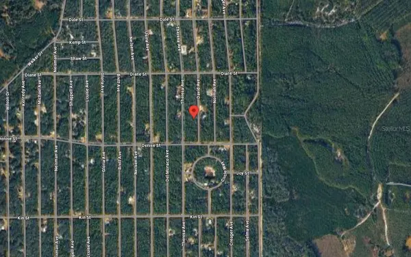917 DAVID AVE, Interlachen, FL 32148