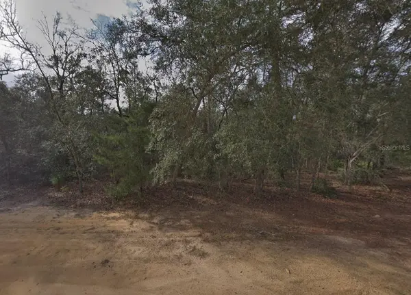 917 DAVID AVE, Interlachen, FL 32148