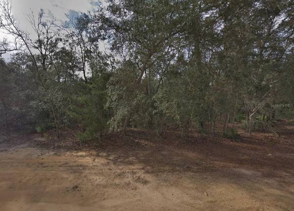917 DAVID AVE, Interlachen, FL 32148