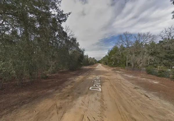 917 DAVID AVE, Interlachen, FL 32148