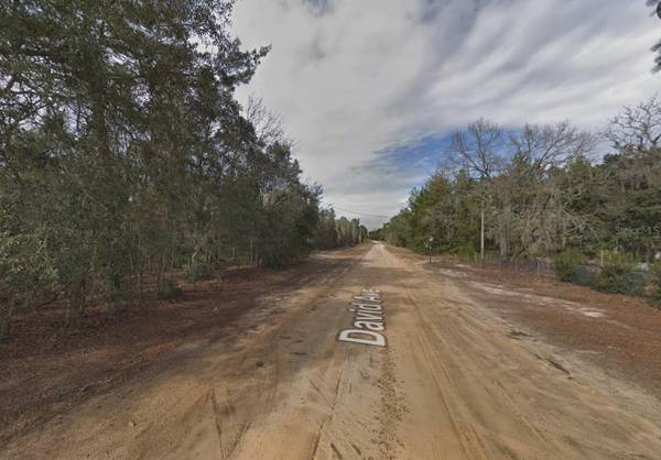 917 DAVID AVE, Interlachen, FL 32148