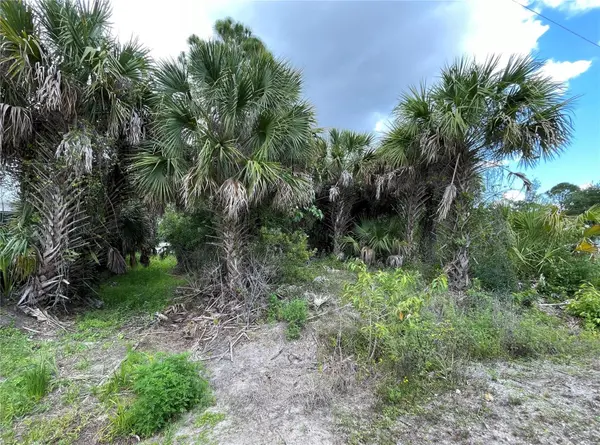 12152 BORAX AVE, Punta Gorda, FL 33955
