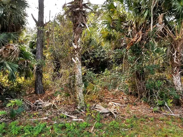 VOGLER LN, North Port, FL 34286