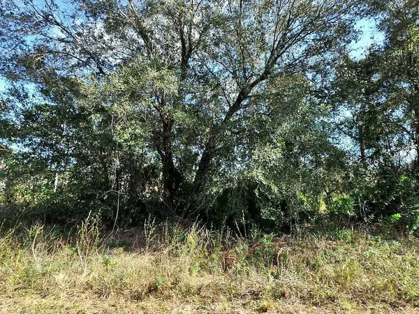 LONGFELLOW LN, North Port, FL 34288