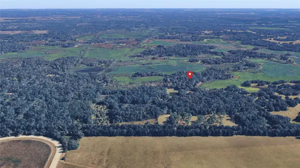 NE 155TH LN, Citra, FL 32113