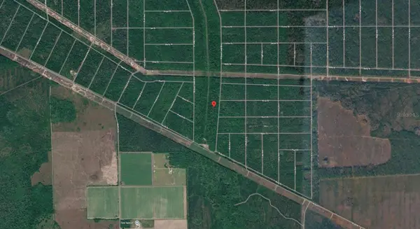 E DEEP CREEK BLVD, Hastings, FL 32145