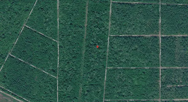 E DEEP CREEK BLVD, Hastings, FL 32145