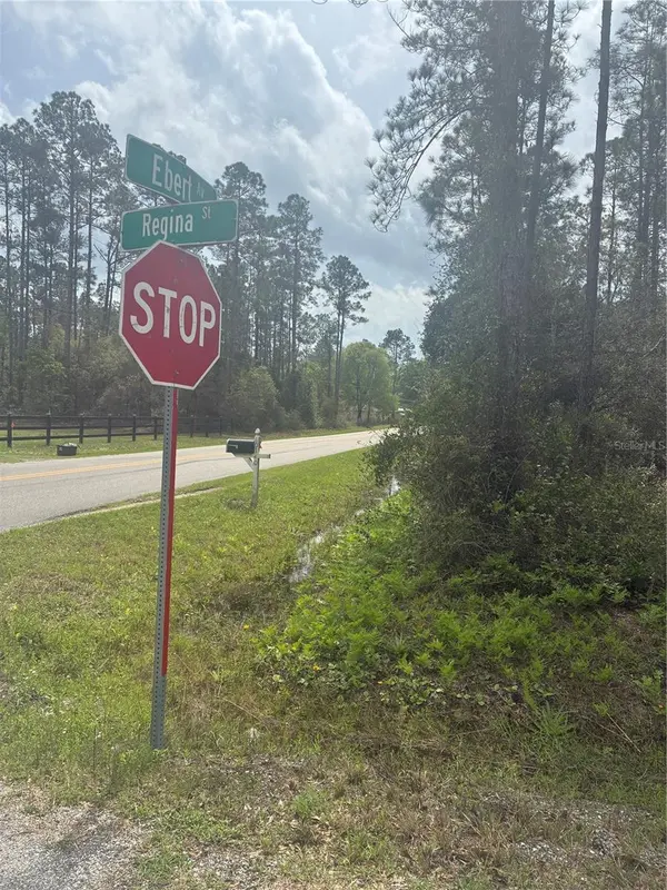 4205 REGINA ST, Hastings, FL 32145