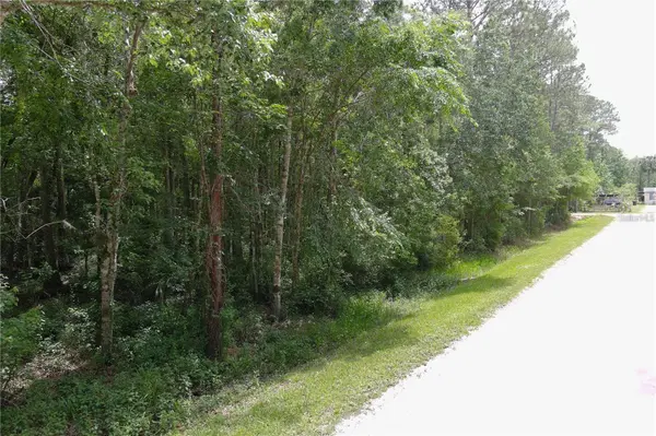1823 HONEYTREE ST, Bunnell, FL 32110