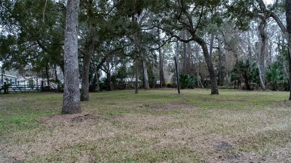 155 FRAN LN, Satsuma, FL 32189