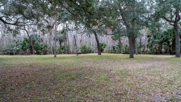 155 FRAN LN, Satsuma, FL 32189