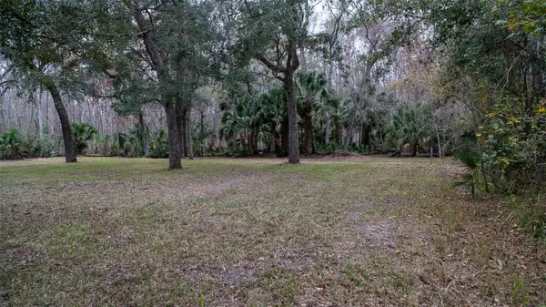155 FRAN LN, Satsuma, FL 32189