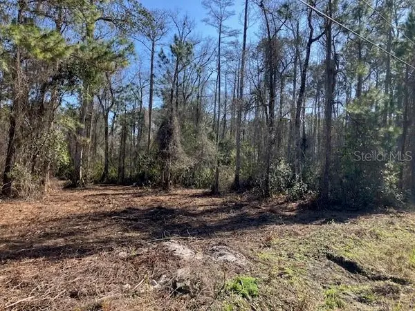 1881 HAZELNUT ST, Bunnell, FL 32110
