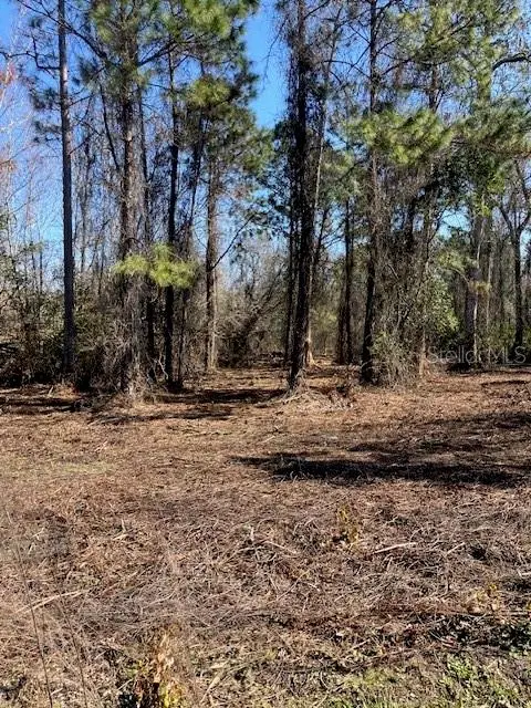 1881 HAZELNUT ST, Bunnell, FL 32110
