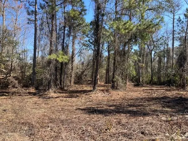 1881 HAZELNUT ST, Bunnell, FL 32110